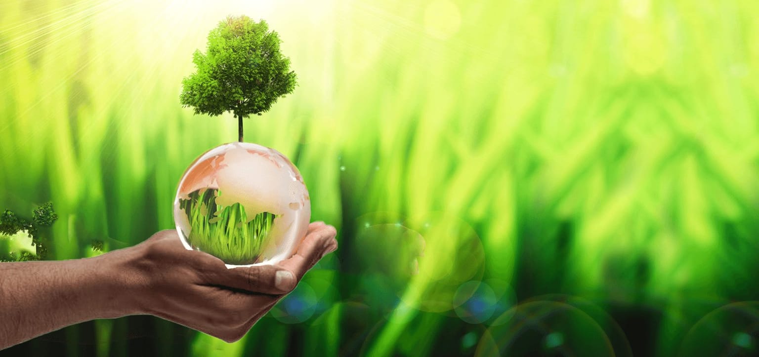 Une main tenant un globe en verre abritant un arbre, symbole de l’engagement QHSE et environnemental d’IFECARM GROUP